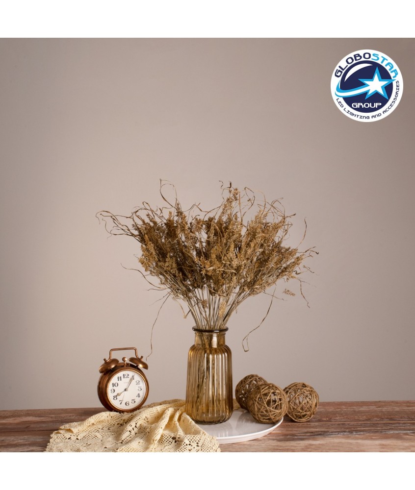 GloboStar® FERNGRASS 36556 Αποξηραμένο Φυτό Φτερόχορτο - Μπουκέτο Διακοσμητικών Κλαδιών Μπεζ Υ60cm - Σετ 50 τμχ